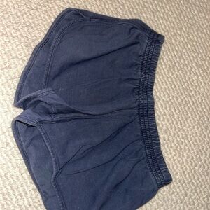 Brandy Melville Slate Blue Shorts